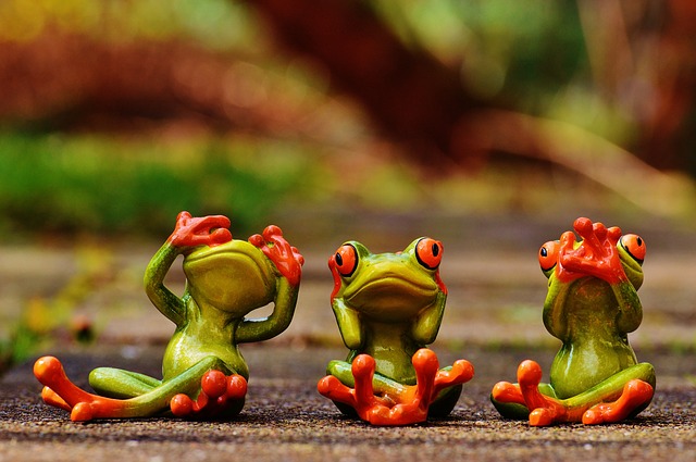 frogs-1274770_640