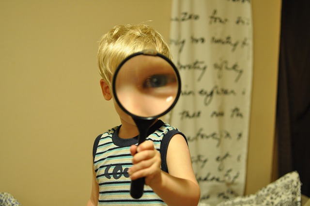 magnifying-glass-552852_640